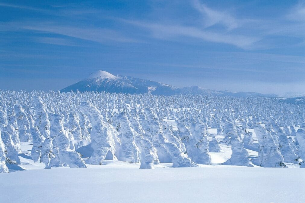 八幡平の樹氷群