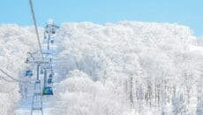 樹氷（秋田県森吉山）