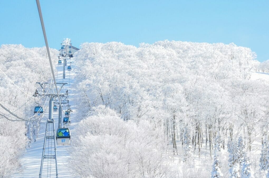 阿仁ゴンドラで向かう森吉山の樹氷