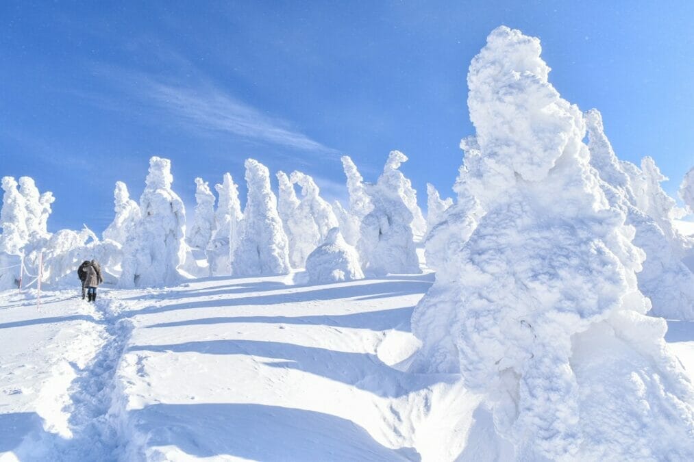 阿仁ゴンドラで向かう森吉山の樹氷