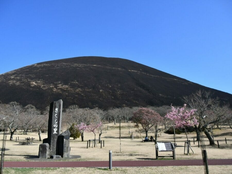 大室山の山焼き