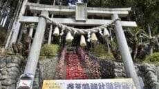 伊豆稲取の素盞嗚神社雛壇飾り