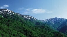 深浦町　白神山地