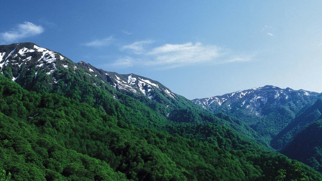 深浦町 白神山地
