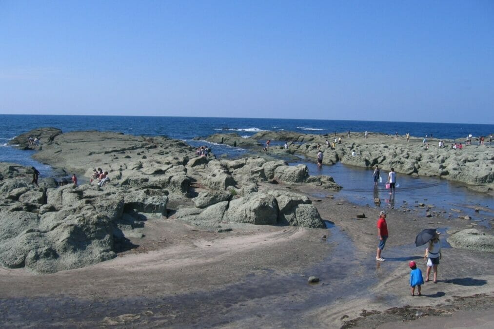 青森県深浦町 千畳敷海岸