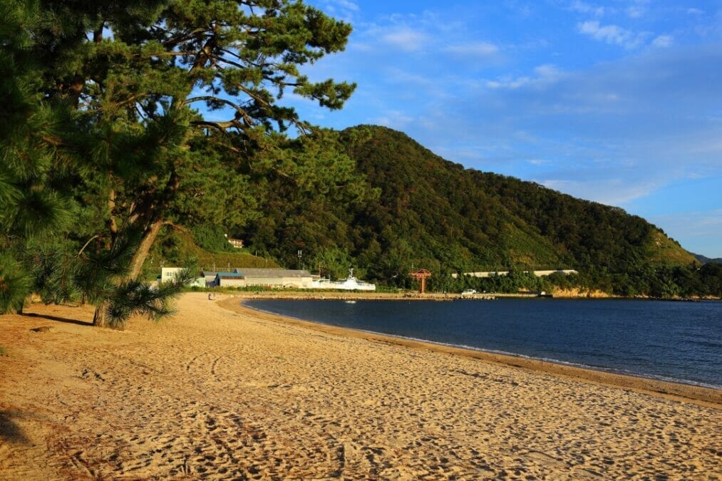 北陸新幹線敦賀開業　気比の松原