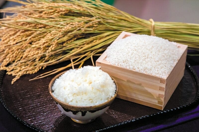 福井県産ブランド米「いちほまれ