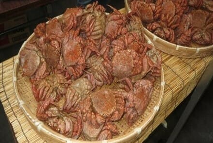 宮古毛ガニまつり