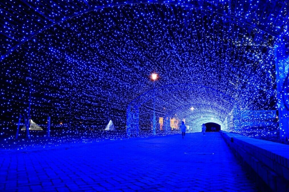 敦賀港イルミネーションミライエ（冬）