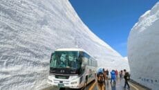 立山黒部アルペンルート　雪の大谷