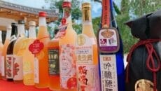 全国梅酒まつり