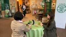 静岡駅の新茶カフェ