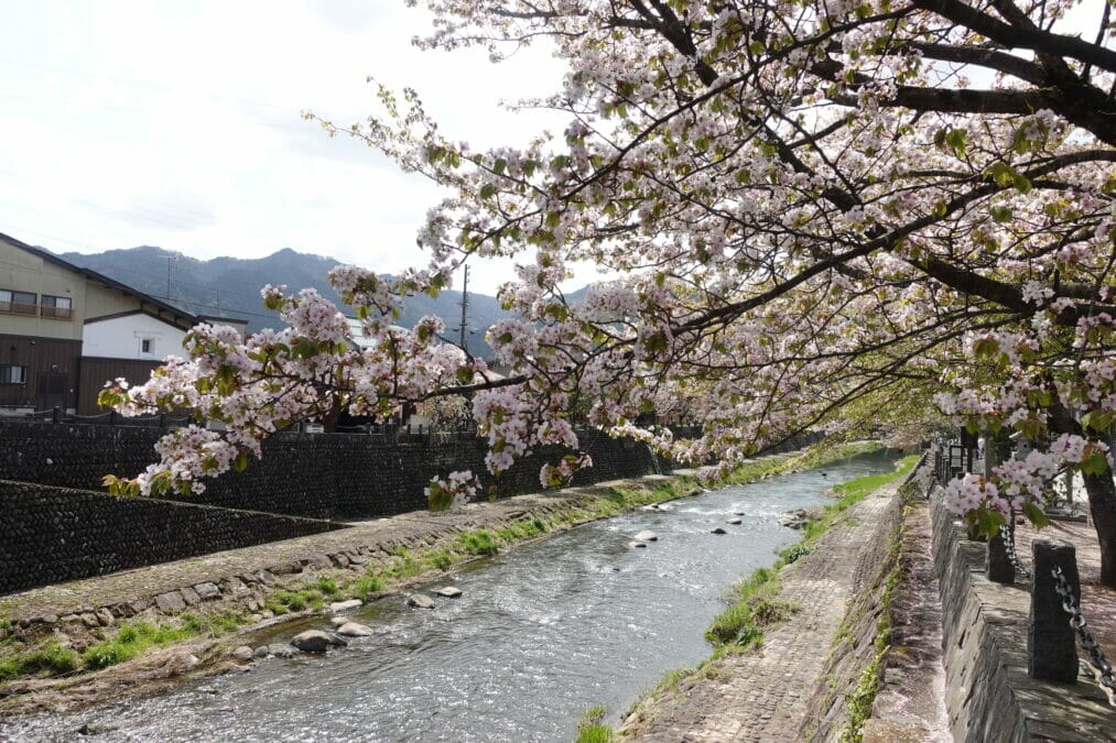 飛騨古川の荒城川（宮川支流）