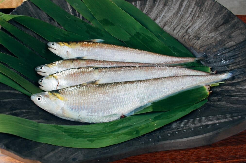 久留米市城島町のエツ料理