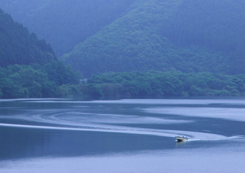 宮城県登米市の伊豆沼