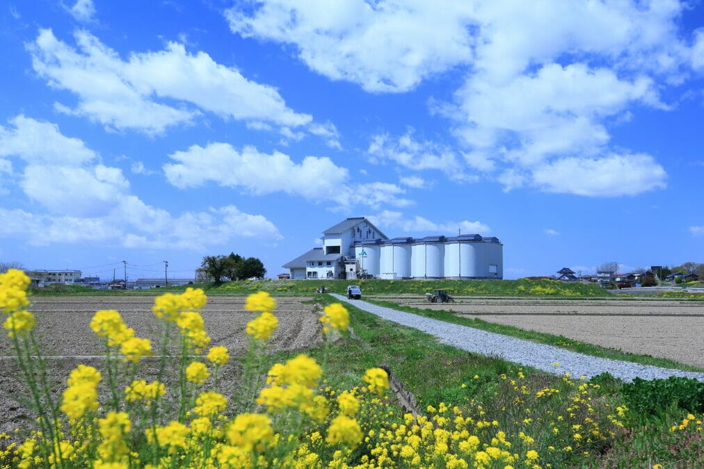 登米市のカントリーエレベーター