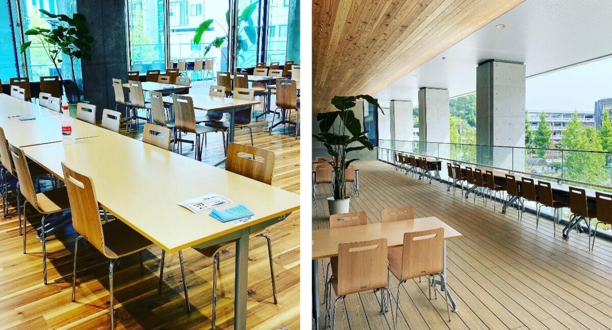 高知市役所「せんだんの木」