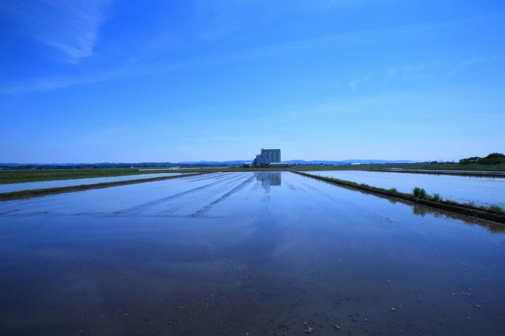 登米市のカントリーエレベーター