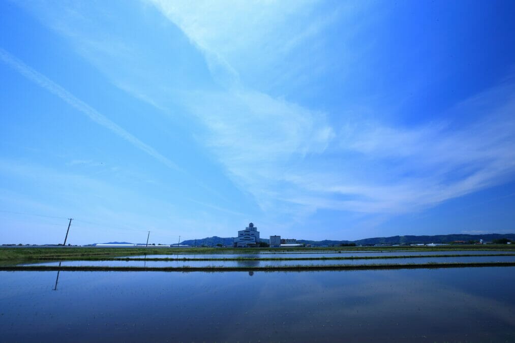登米市 田んぼに浮かぶモン・サン＝ミシェル