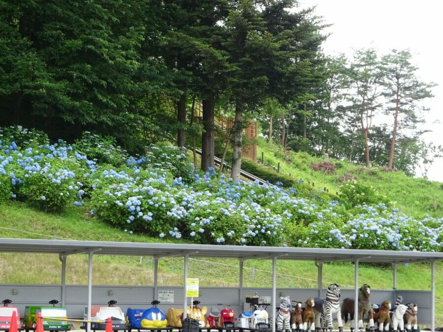 石越町の高森ブルー