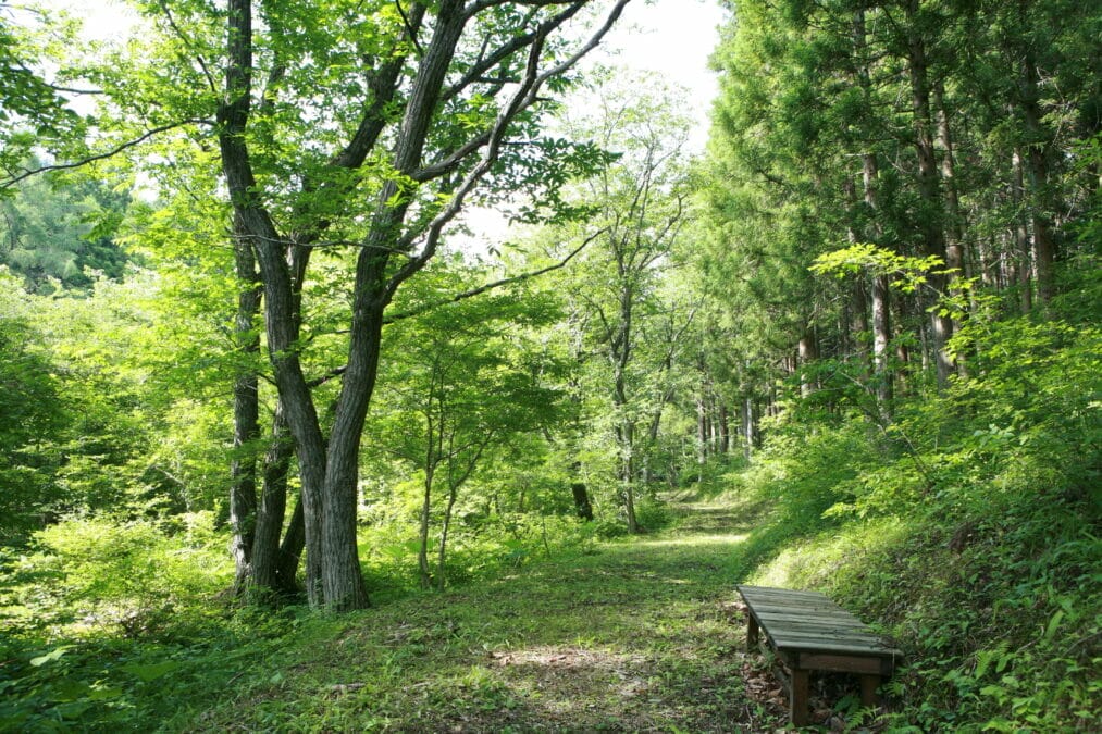 宮城県登米市のラムサール条約湿地