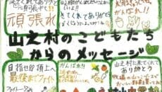 飛騨市 天蓋山の新登山道メッセージ