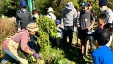 島根県体験プログラム　しまね田舎ツーリズム