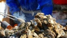 厚岸 牡蠣まつり　カキ祭り