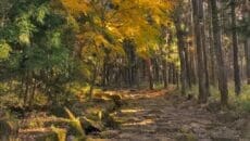 中山道～琵琶峠～