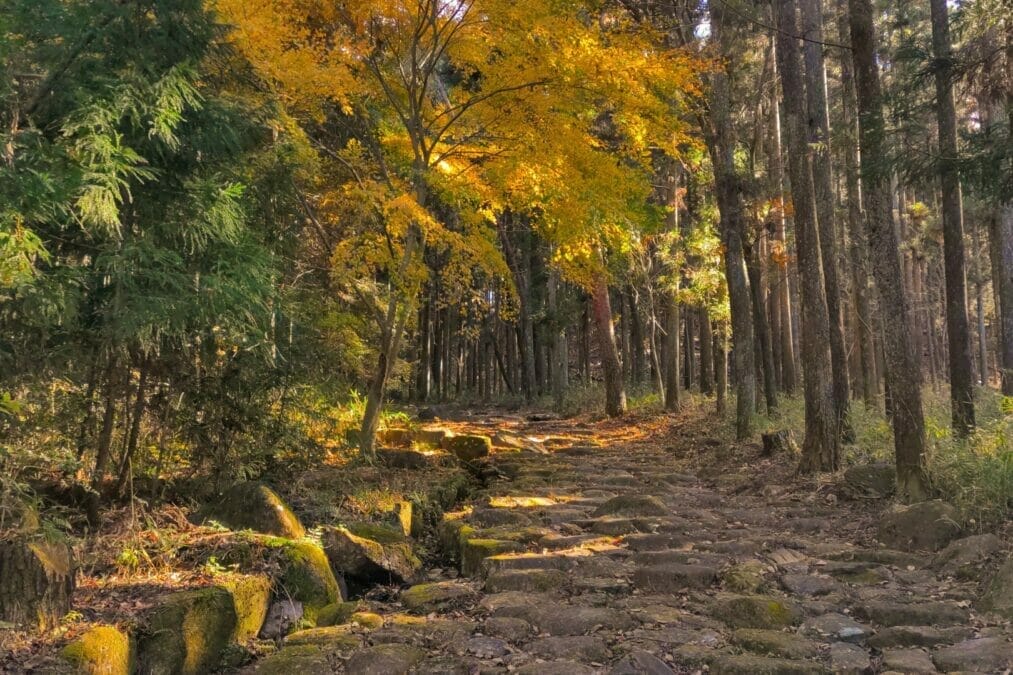 中山道～琵琶峠～