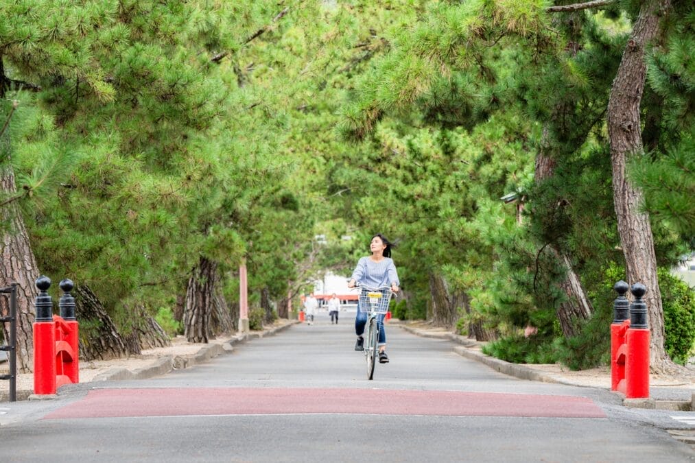 自転車ナビタイム、周遊ルートでサイクリングコース提案