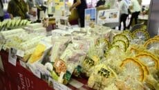 板橋区役所でいしかわ復興応援物産展