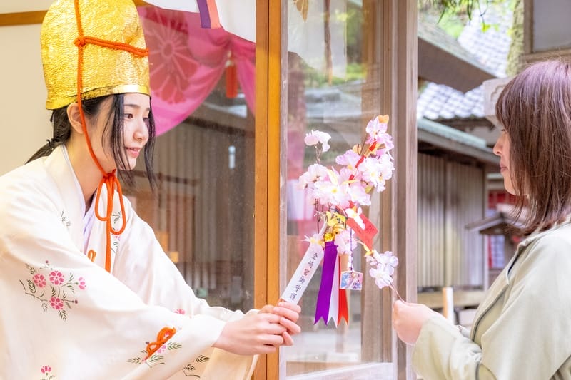 敦賀市、金崎宮の花換まつり