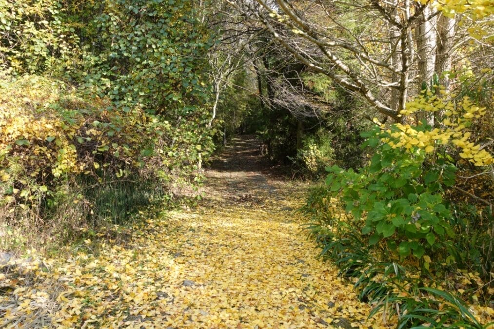 中山道「十三峠」