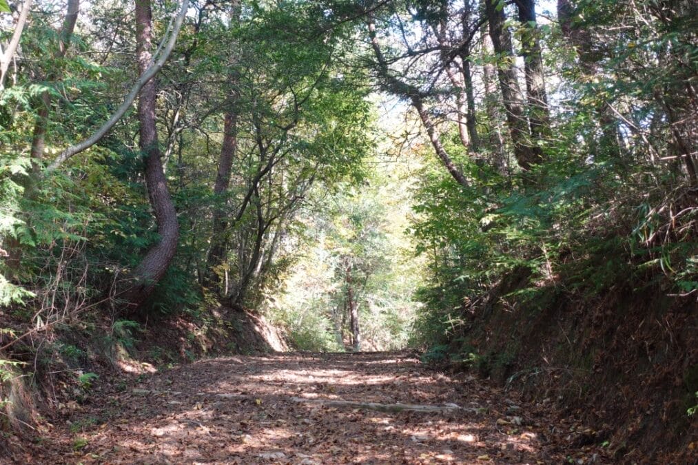 岐阜県中山道