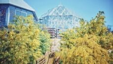 神戸布引ハーブ園