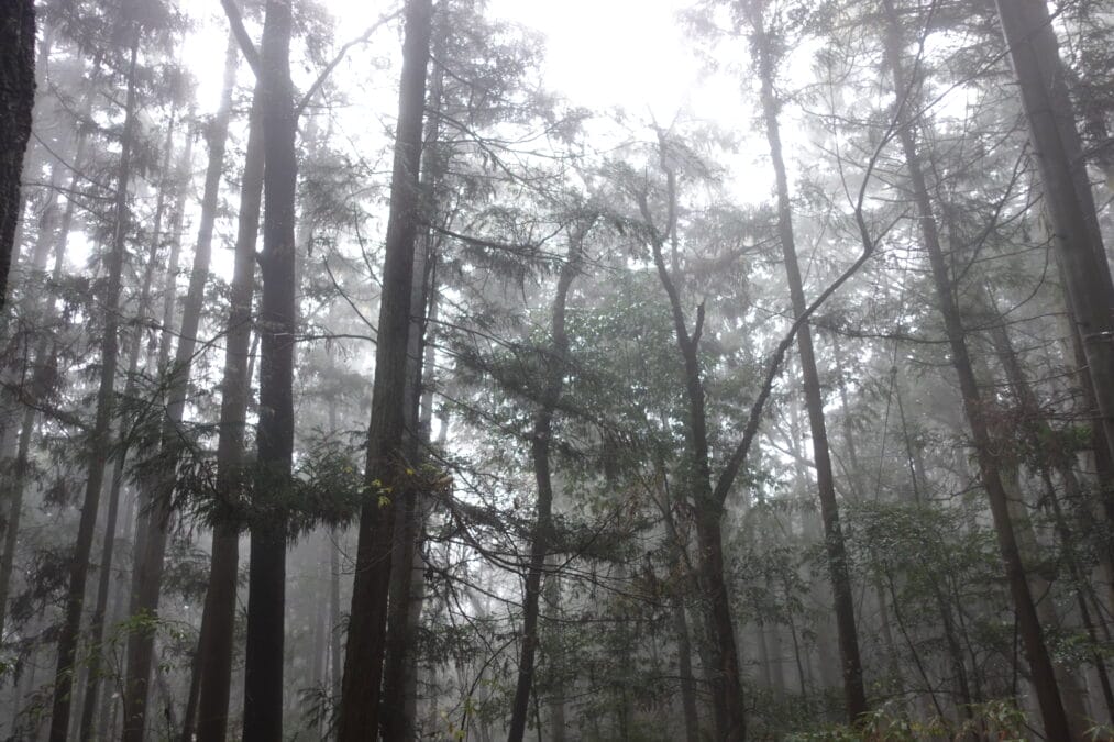 中山道の落合宿「落合の石畳」
