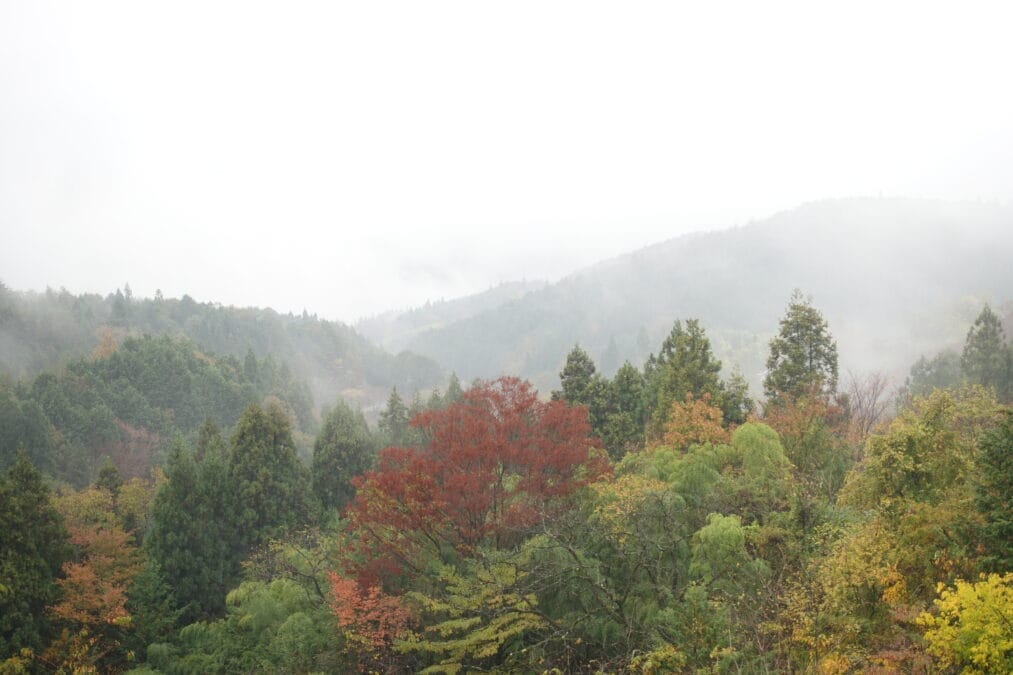 馬籠宿からの景色