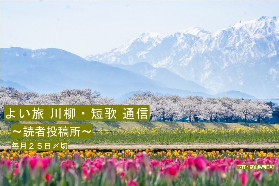 あさひ舟川「春の四重奏」（富山県朝日町）