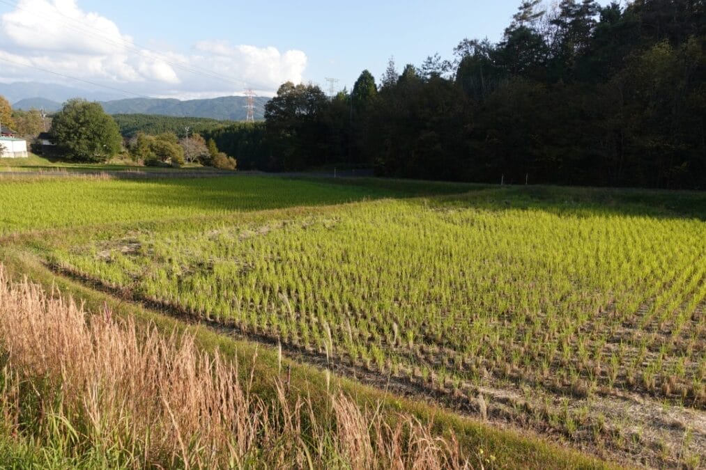 中山道「十三峠」