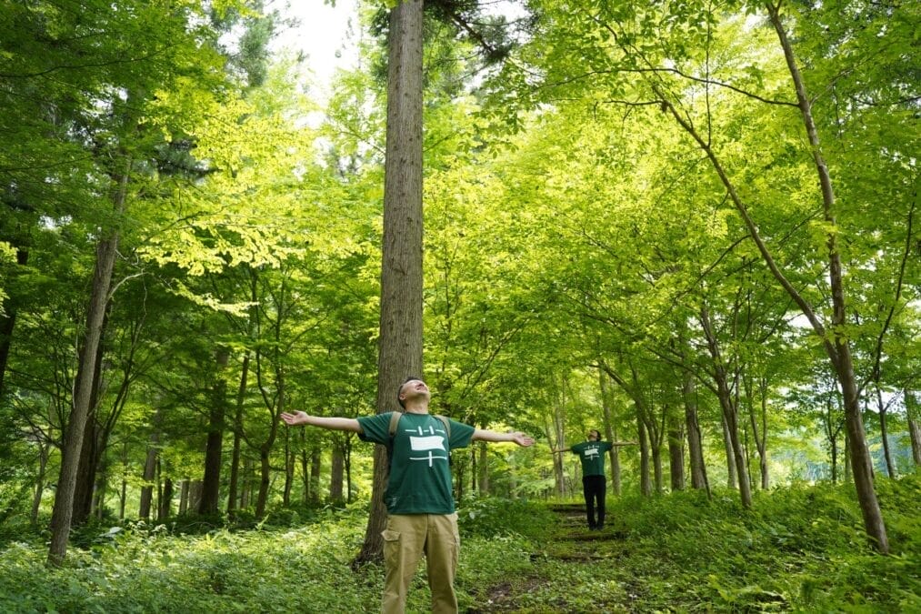 飛騨市、朝霧の森