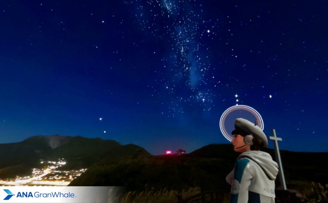 ANA GranWhaleイメージ写真
