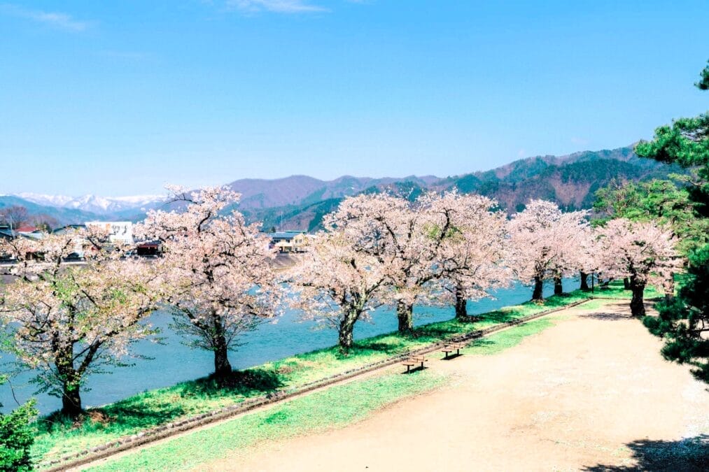 千代の松原公園