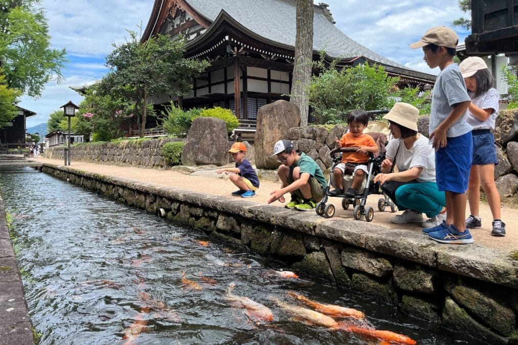 飛騨古川、瀬戸川の鯉