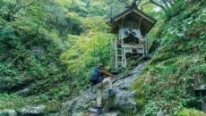 京都DMOが提供する体験プログラムの古道ハイク