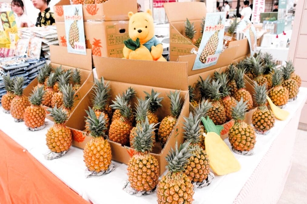 沖縄県パイナップル