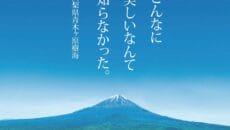 富士山麓に広がる青木ヶ原樹海