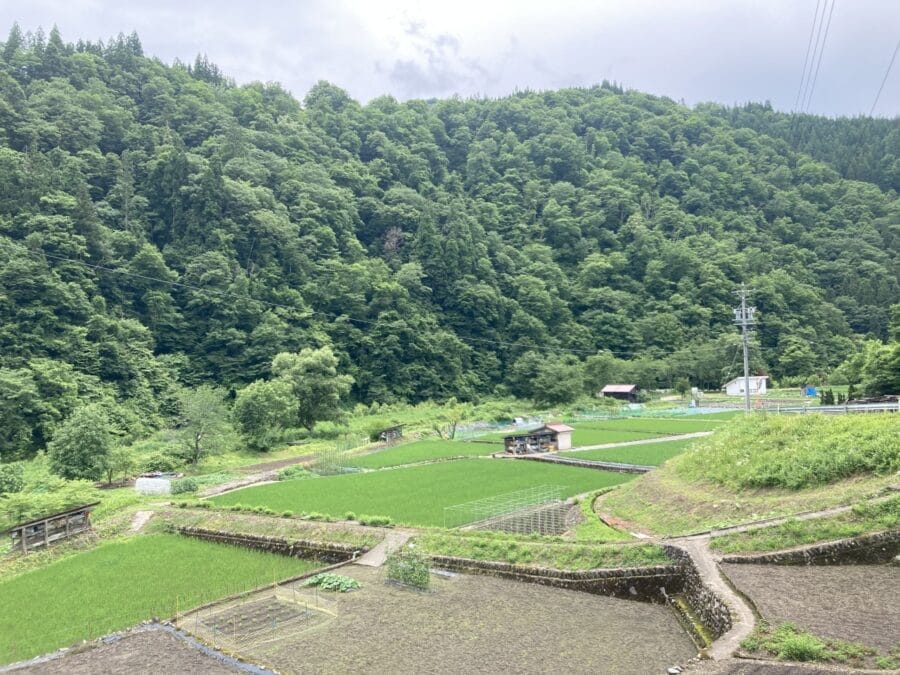 飛騨市の森林