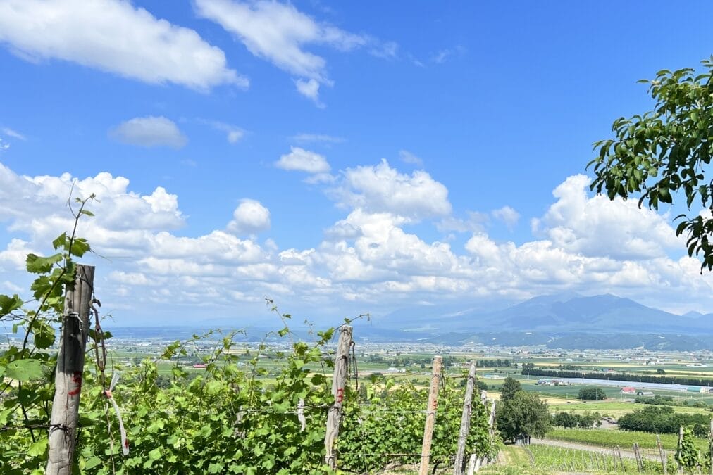 ふらのワイナリー