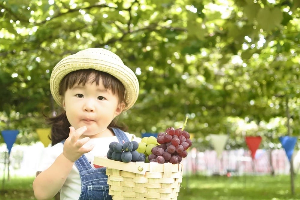 信州塩尻ぶどうまつり